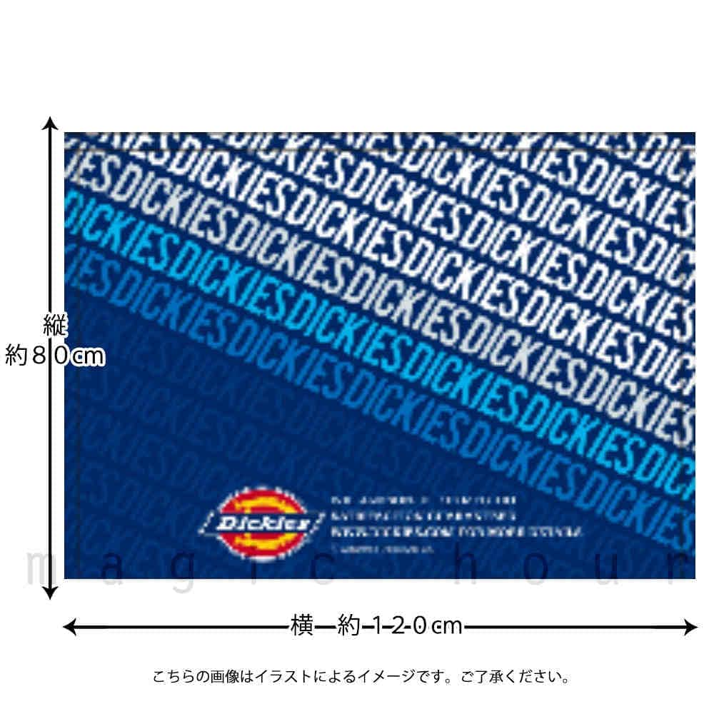 プール タオル ラップタオル 80cm 子供 巻きタオル 女の子 Dickies ディッキーズ 水泳 お着換えタオル 子ども スイミング かわいい ブルー ボーダー ホワイト 青 DC-219233-TW-BLUE-80 Dickies(ディッキーズ) 2