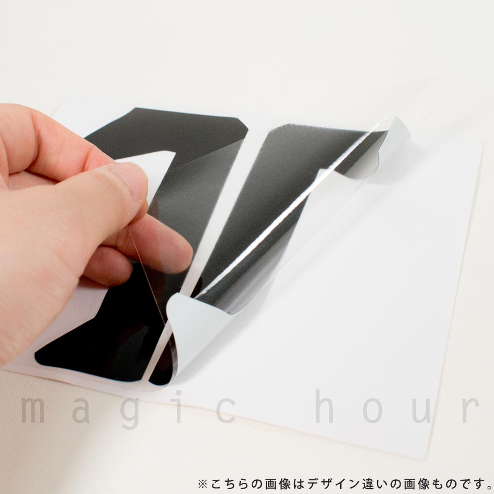 送料無料 TECHNINE テックナイン カッティング ステッカー スノーボード ブランドおしゃれ かっこいい 大きめ お洒落 ビッグロゴ 白 ホワイト 黒 ブラック U-T9-STICKER-25CUT-BLK TECHNINE(テックナイン) 1